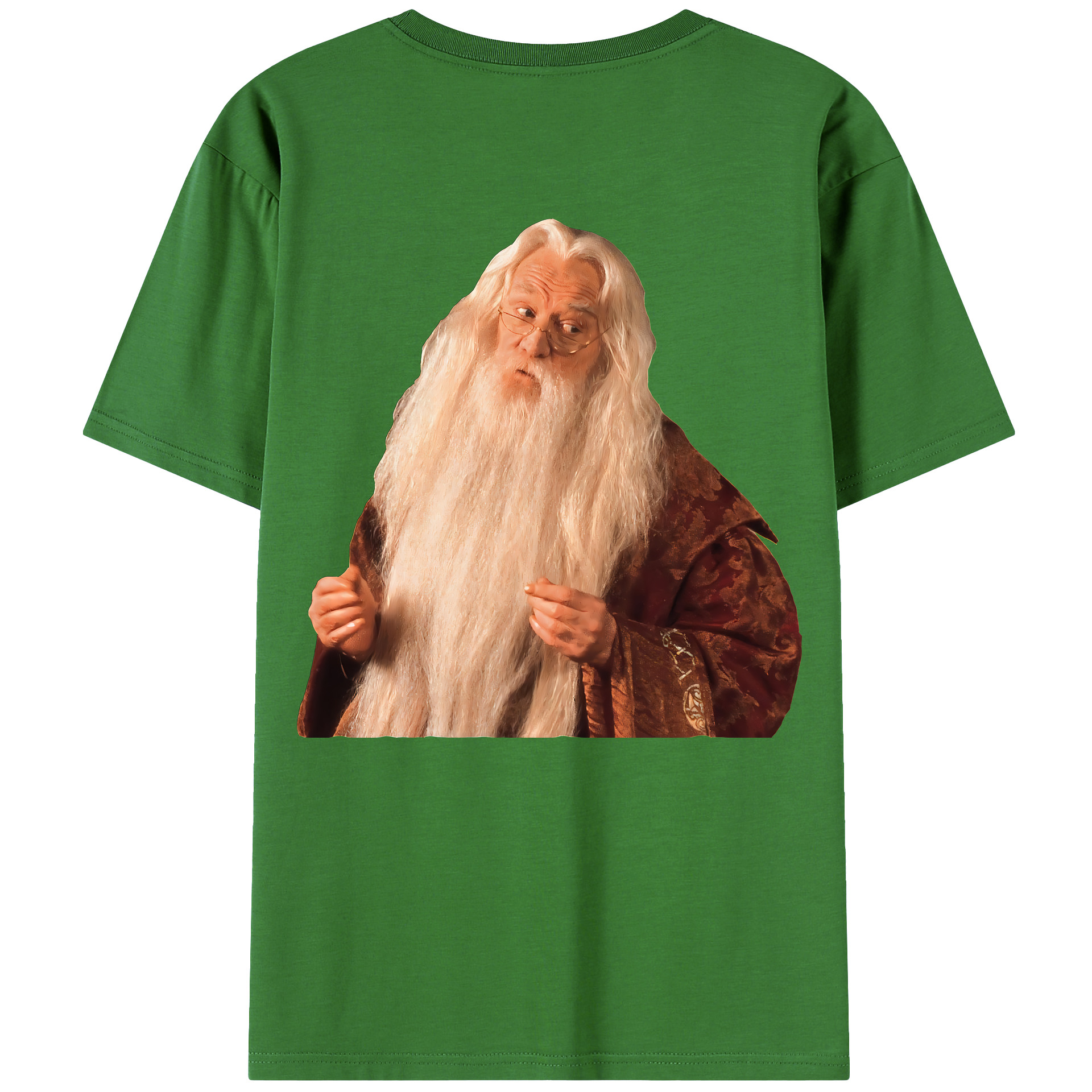 （画像用） Harry Potter ハリー・ポッターシリーズ レディース半袖Tシャツ(バックプリント)